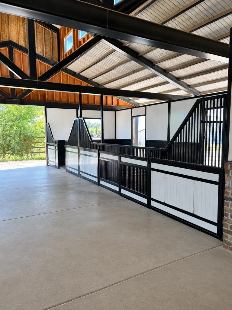 Steel-framed horse stalls with black vertical bar fronts and white panels under an open barn roof